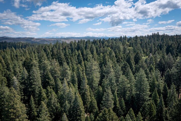 Property Photo:  0 Blair Road  CA 95726 