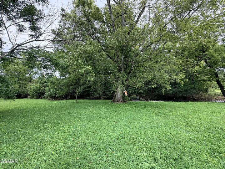 Property Photo:  675 Catnip Road  TN 37727 