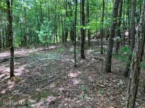 Property Photo: Lot 11 Green Cove Circle NC 28906