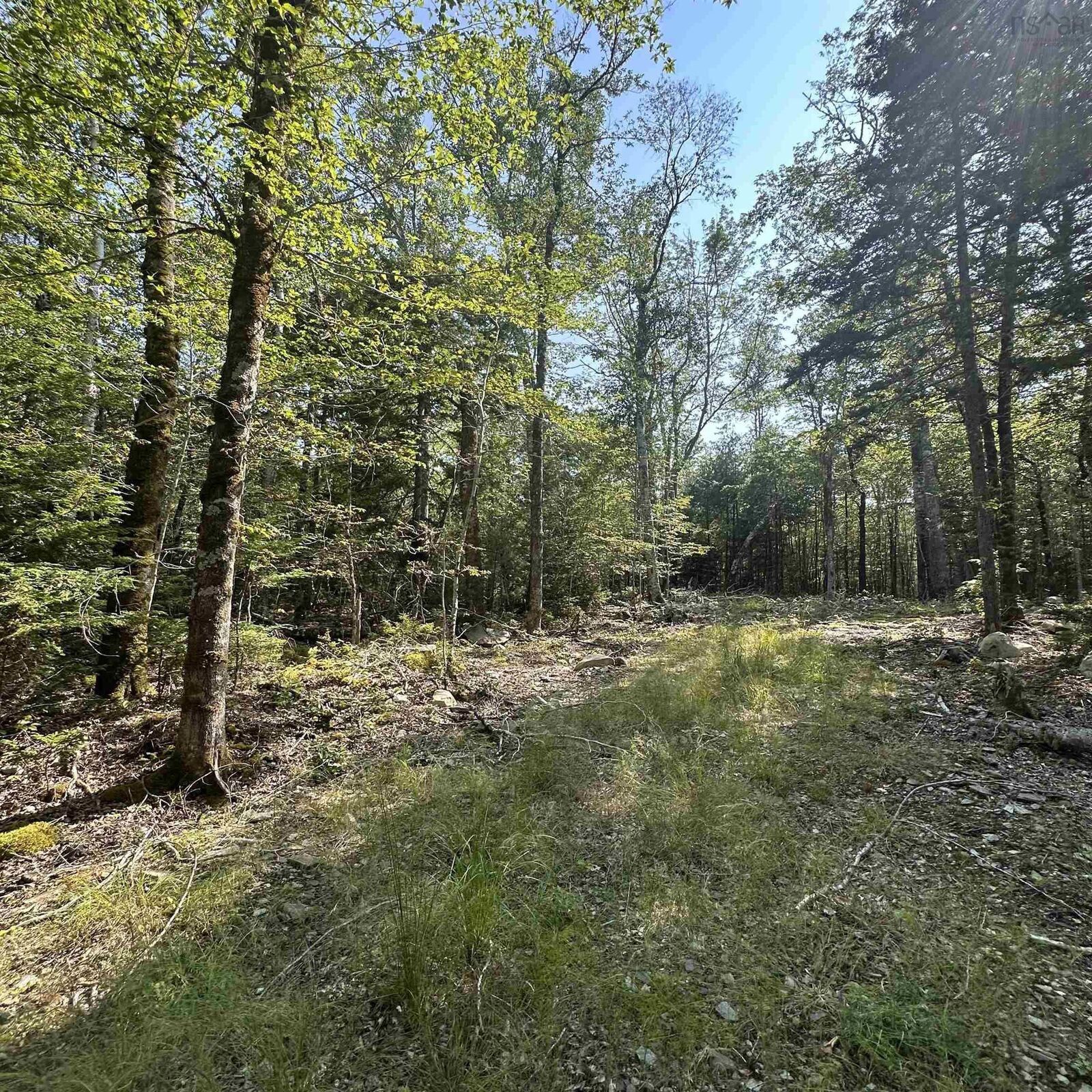 Property Photo:  Lot 49 Island View Terrace  NS B0T 1E0 