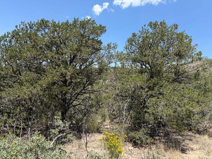 Property Photo: Canyon Dr NM 88350