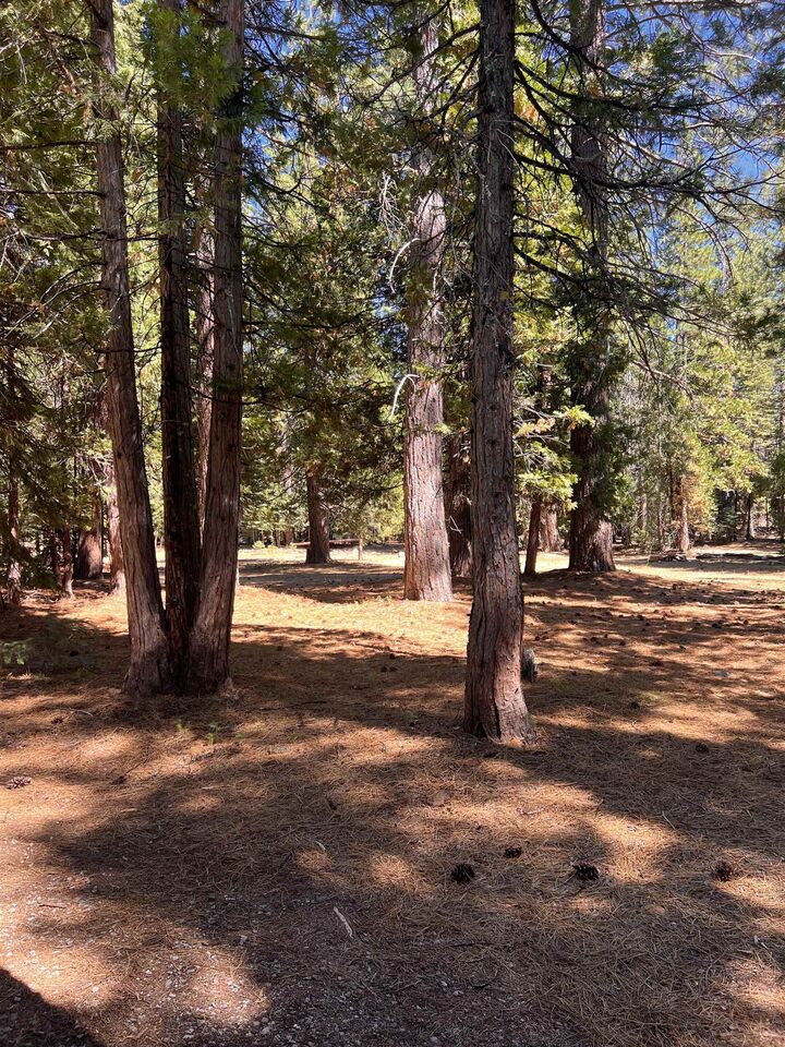 Property Photo:  1001 Pinion Pine Trail  CA 96103 
