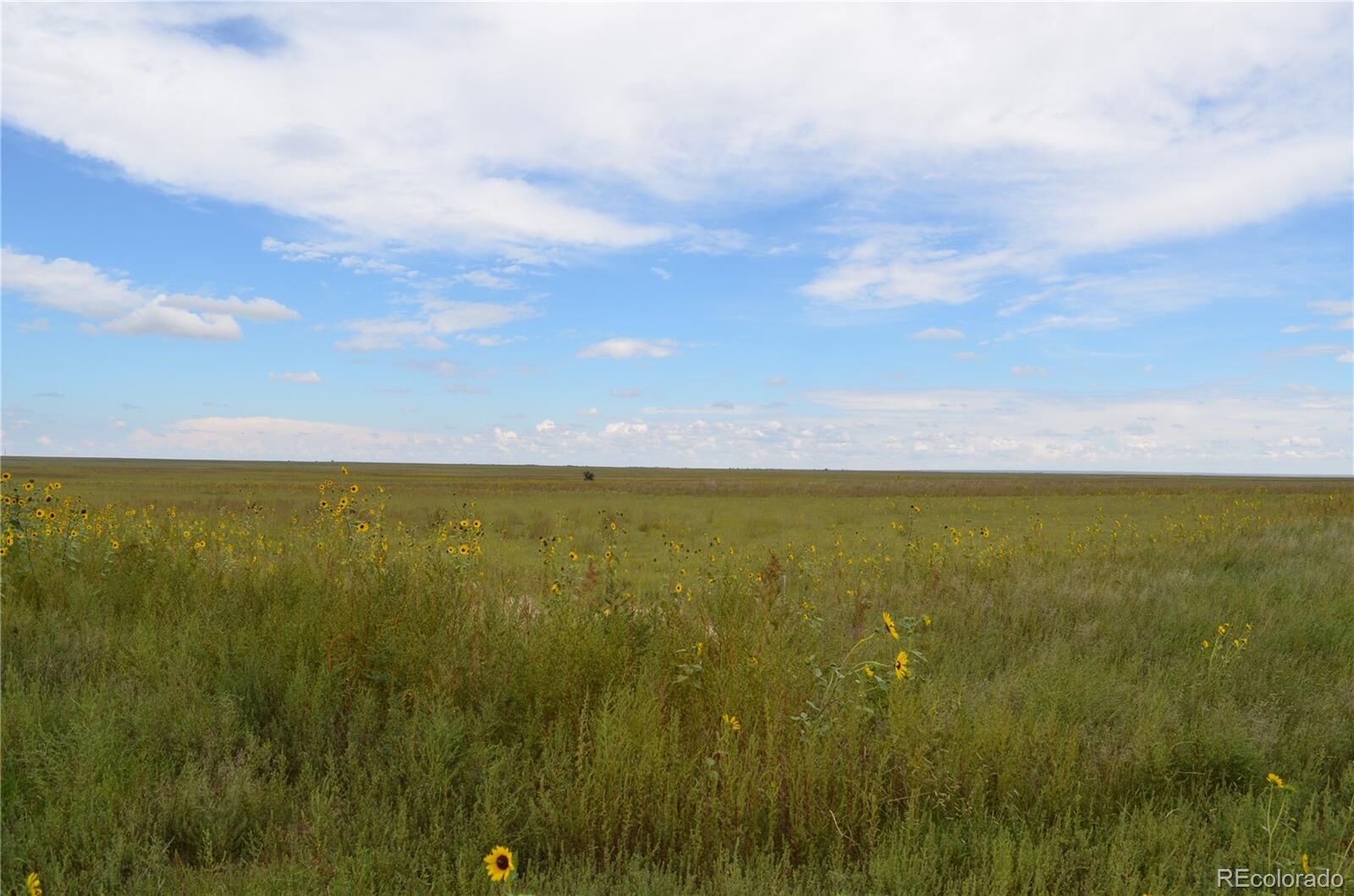 Property Photo:  Parcel 7 County Rd V  CO 80833 