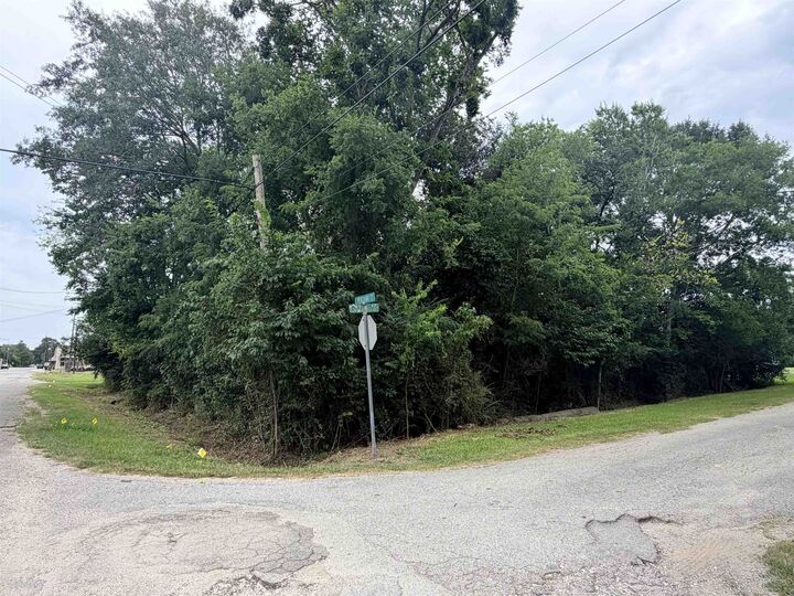 Property Photo:  Tbd Fulton St  TX 77659 
