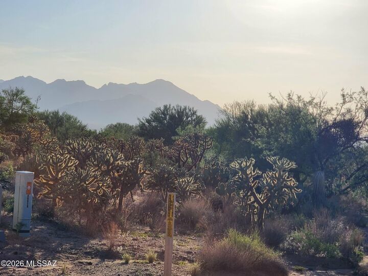 Property Photo:  16154 W Prosperi Avenue 90  AZ 85736 