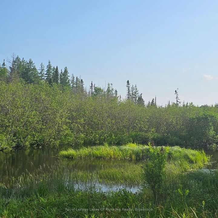 Property Photo:  95 Fish Lake Road  ON P1H 2J6 