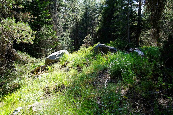 Property Photo: 000 Forest Road CA 95728