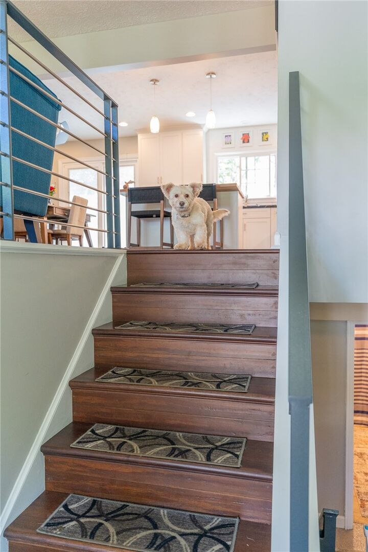 Property Photo:  5190 Windy Hill  PA 15044 