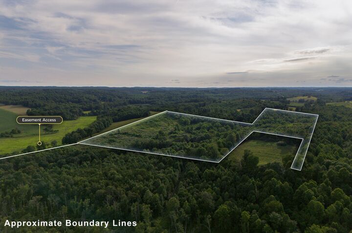 Property Photo: 0 David Reese Road OH 45656