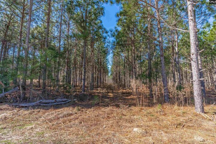 Property Photo:  Lot 2 Fairview 008200-07-010  SC 29006 