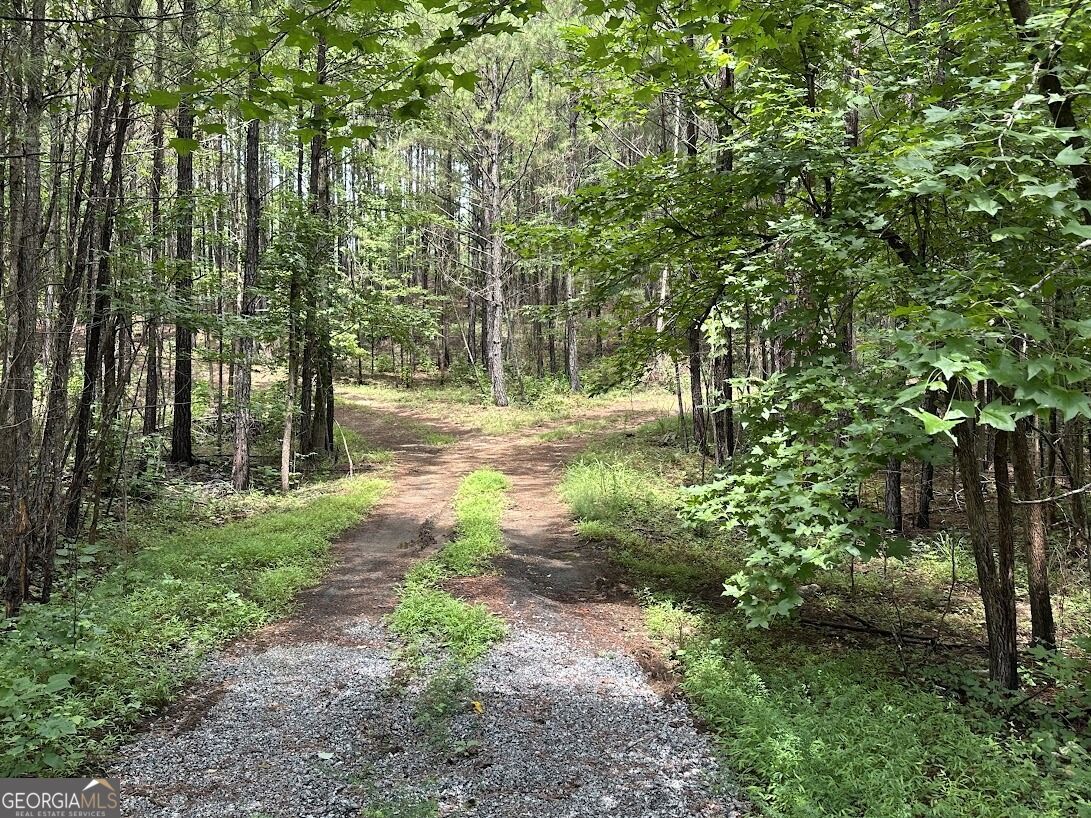 Property Photo: 0 Ferry Road GA 30217