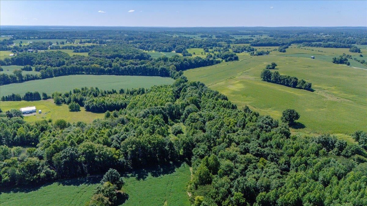 Property Photo:  14766 Griffin Graves Creek Rd  KY 42420 