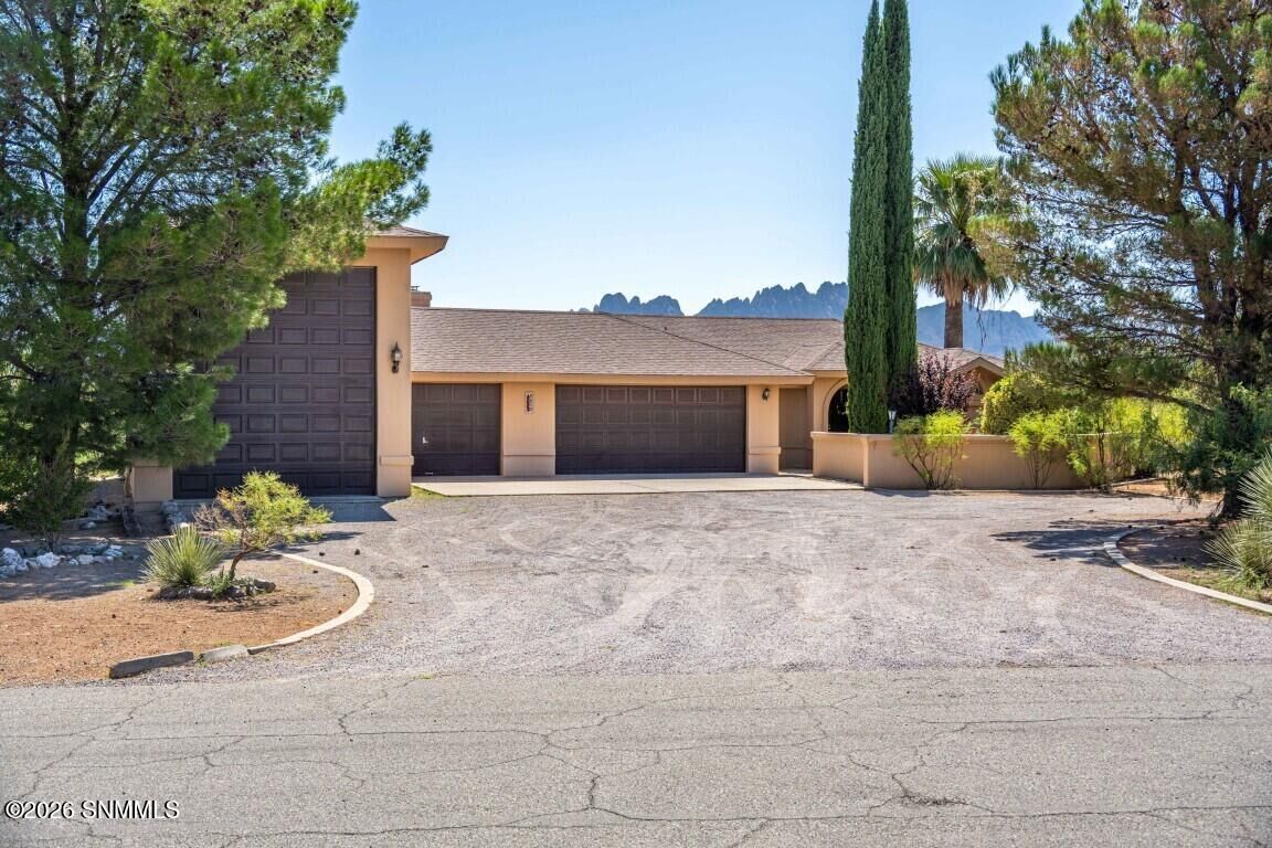 Property Photo:  6100 San Augustin Drive  NM 88012 