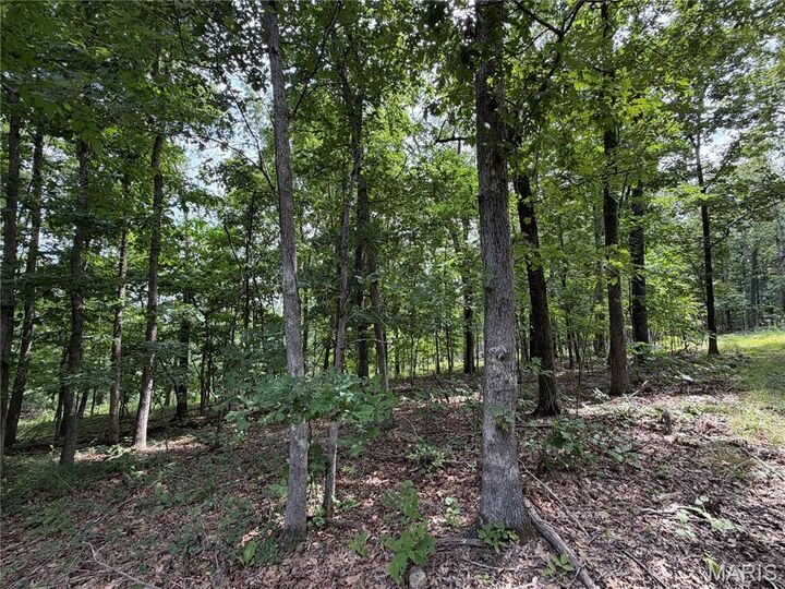 Property Photo:  #305 Madison 410  MO 63645 