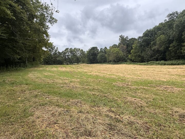Property Photo: 0 Upper Standing Rock Rd TN 37058