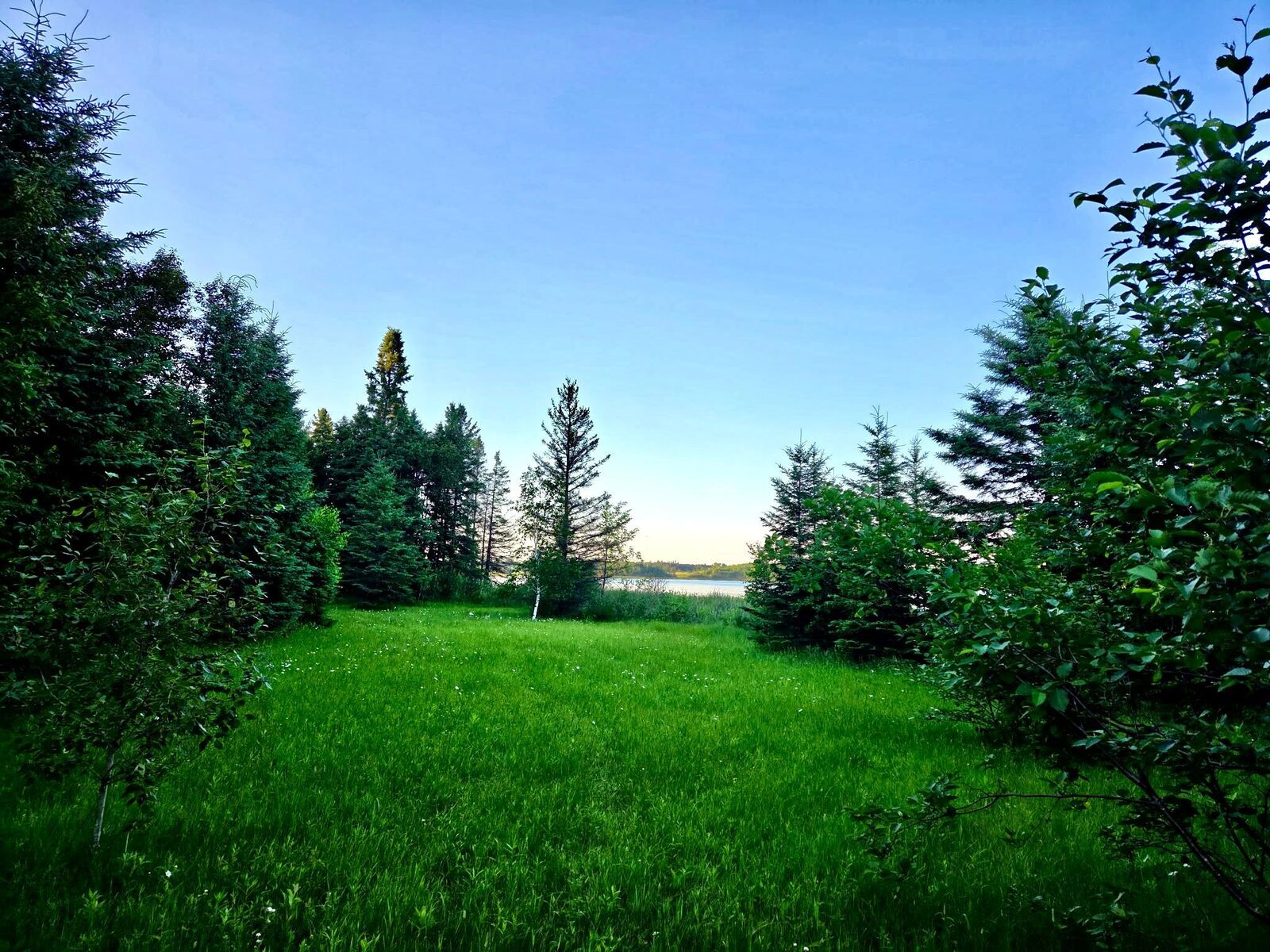 Property Photo:  Tbd 190th Street  MN 56621 