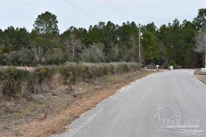 Property Photo: 0002 Pat Brown Rd FL 32570