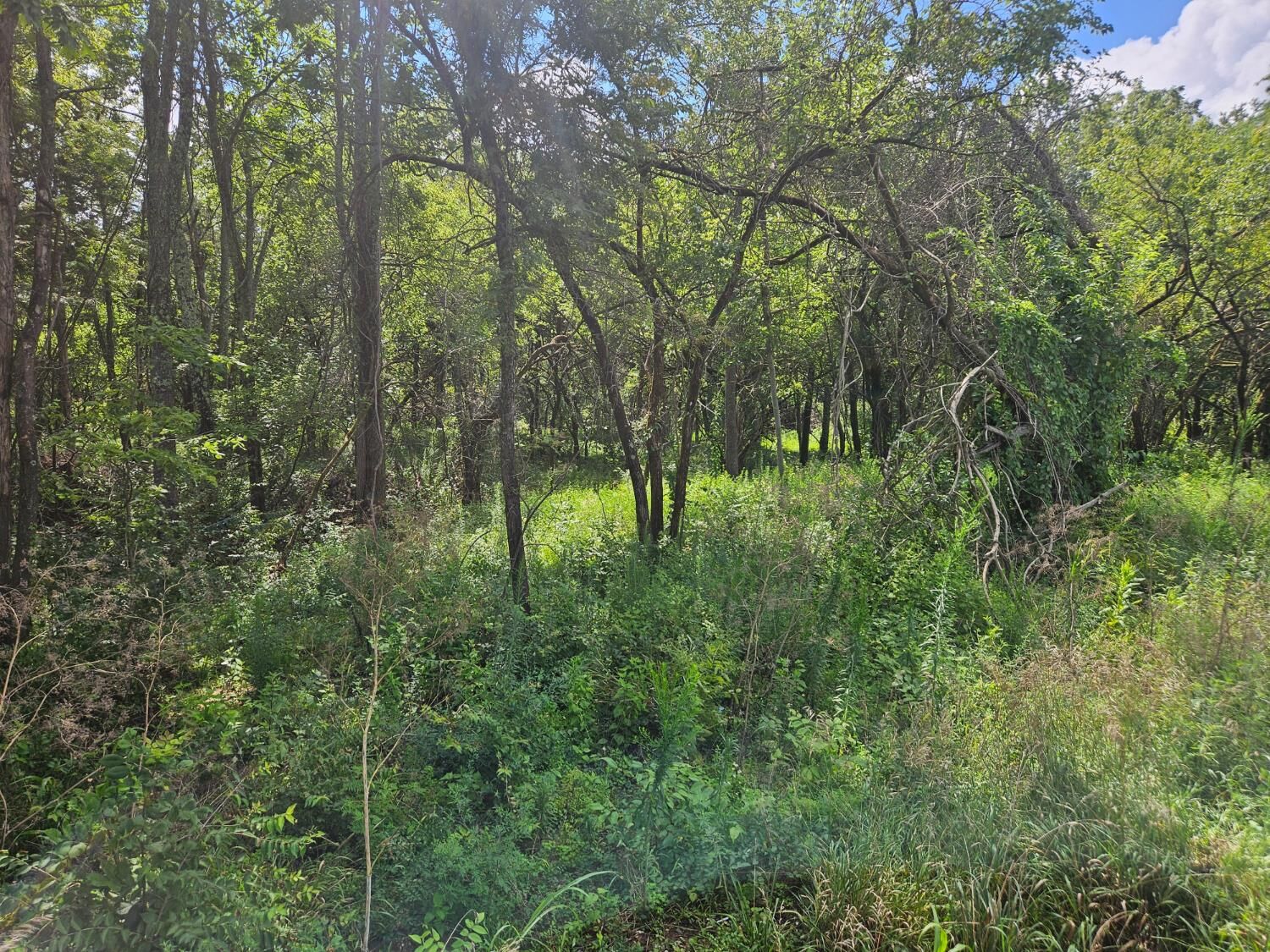 Property Photo:  12936 Lake Geneva  IN 47043 