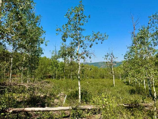 Property Photo:  10775 E Tanglewood Dr 631  UT 84032 