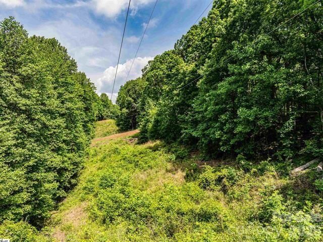Property Photo:  67 &Amp 68 Wildflower Lane  SC 29690 