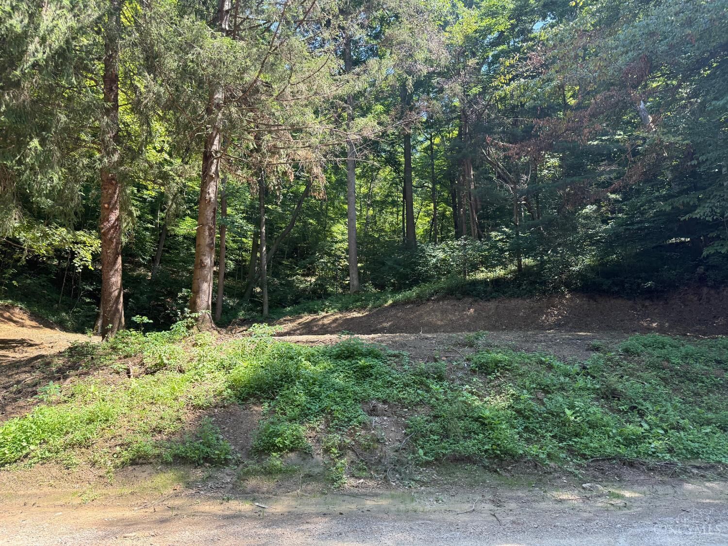 Property Photo:  31700 Dixon Mill Road  OH 45647 