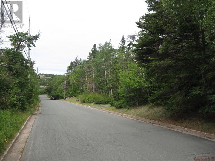 Property Photo:  53 B Lawrence Pond Road East  NL A1X 4C6 