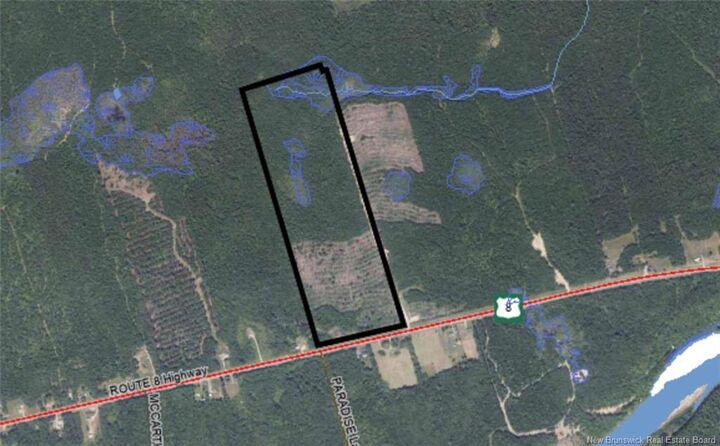 Property Photo:  Woodlot Route 8  NB E9C 1X5 