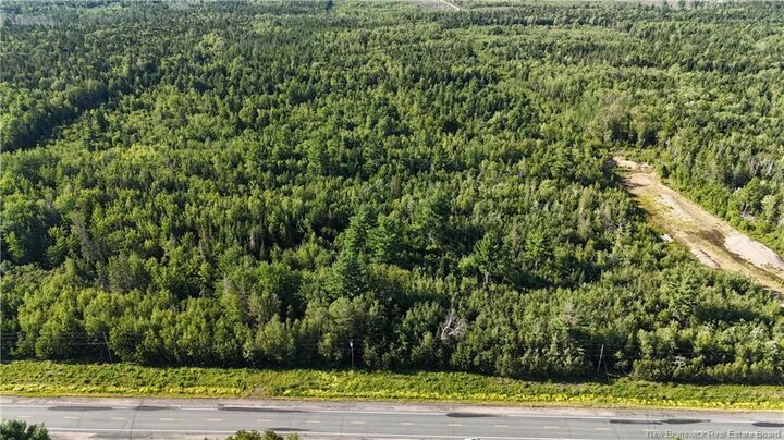 Property Photo:  Woodlot Route 8  NB E9C 1X5 