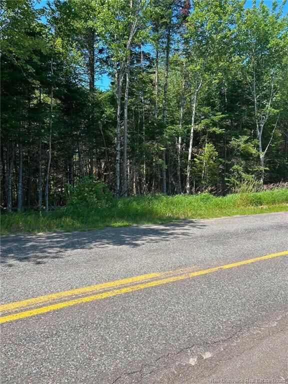 Property Photo:  Lot 20-1 Route 825  NB E3C 1N1 
