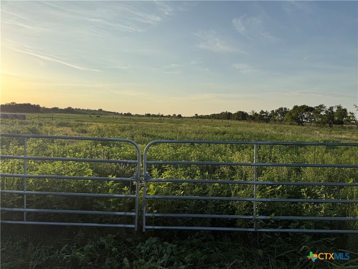 Property Photo:  153 County Road 243  TX 76653 