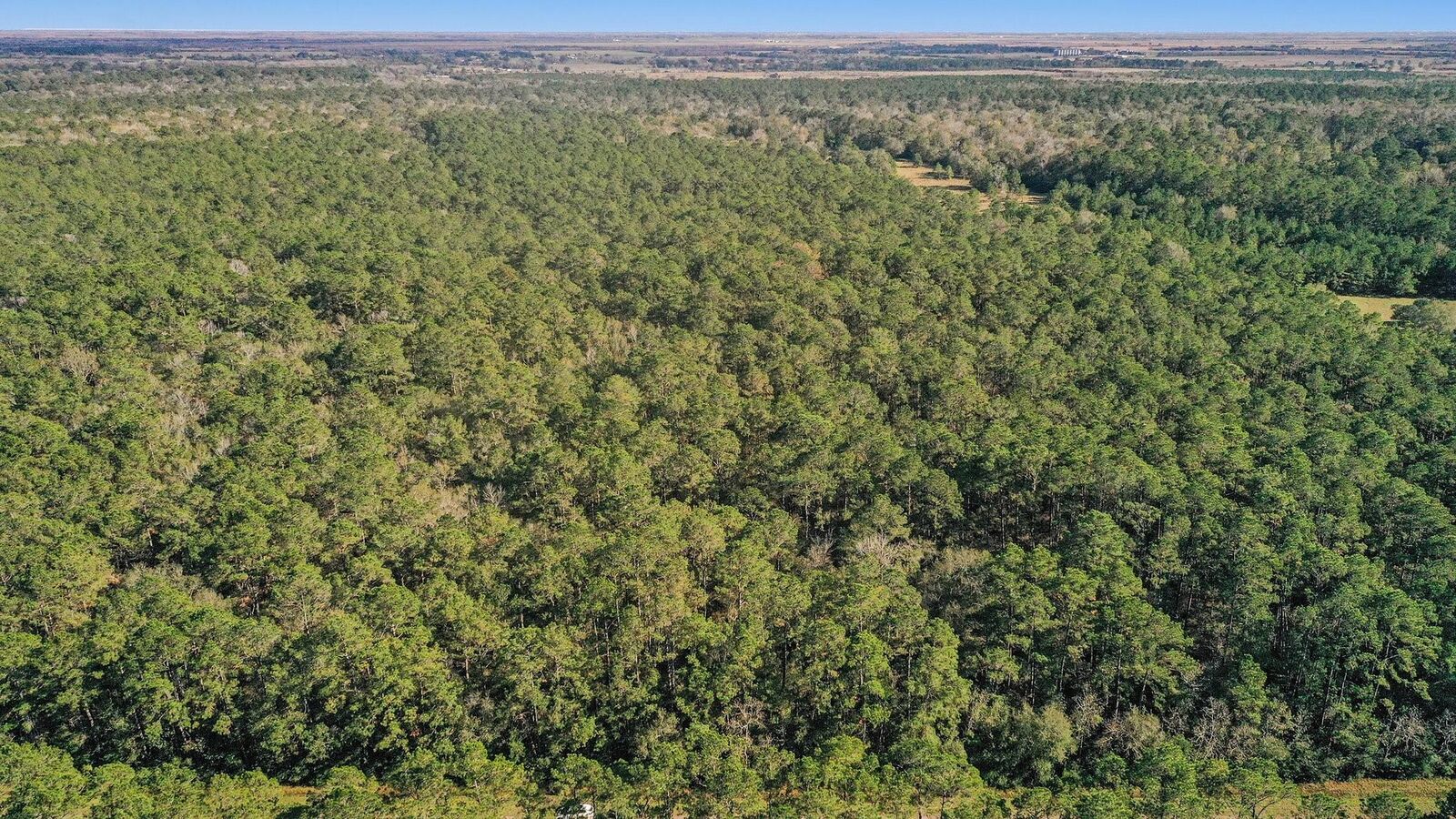 Property Photo: Tbd Highway 61 TX 77560