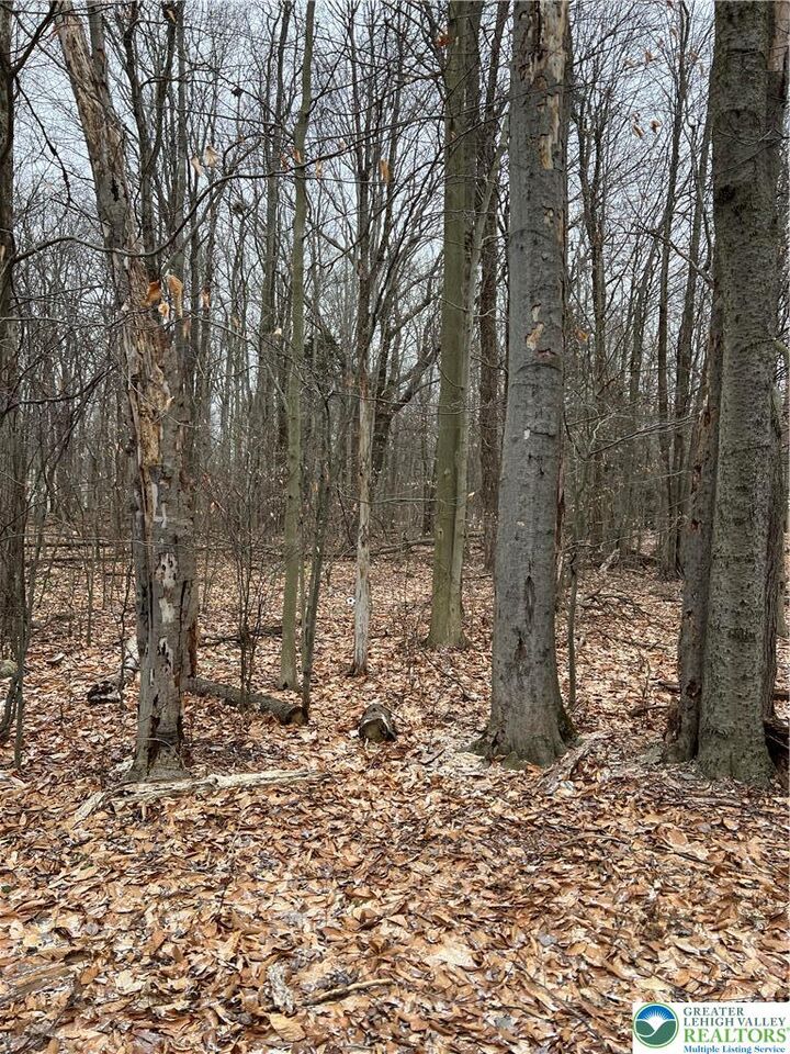 Property Photo:  255 Pontiac Path Trail 12  PA 18347 