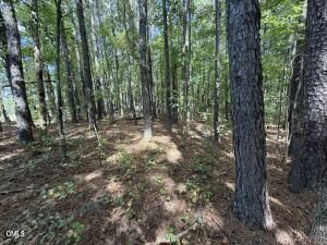Property Photo: 1 Massengill Pond Road NC 27501