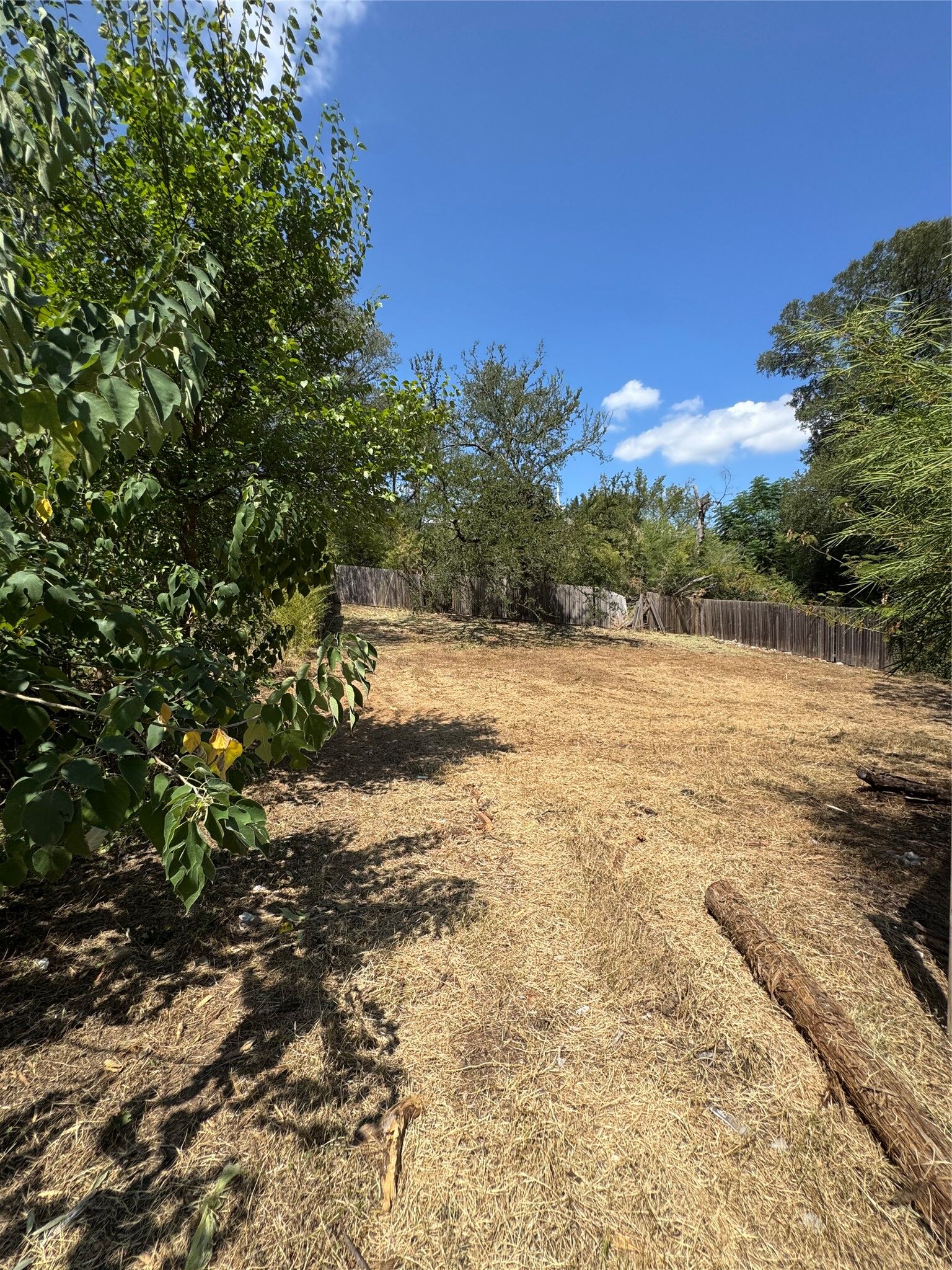 Property Photo: 1196 Em Franklin Avenue TX 78721