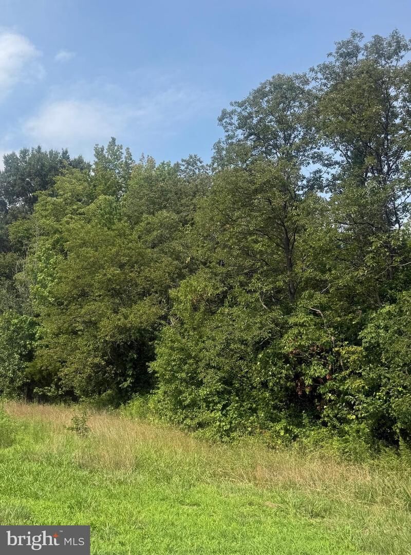 Property Photo: Parcel 73 Barclay Road MD 21607