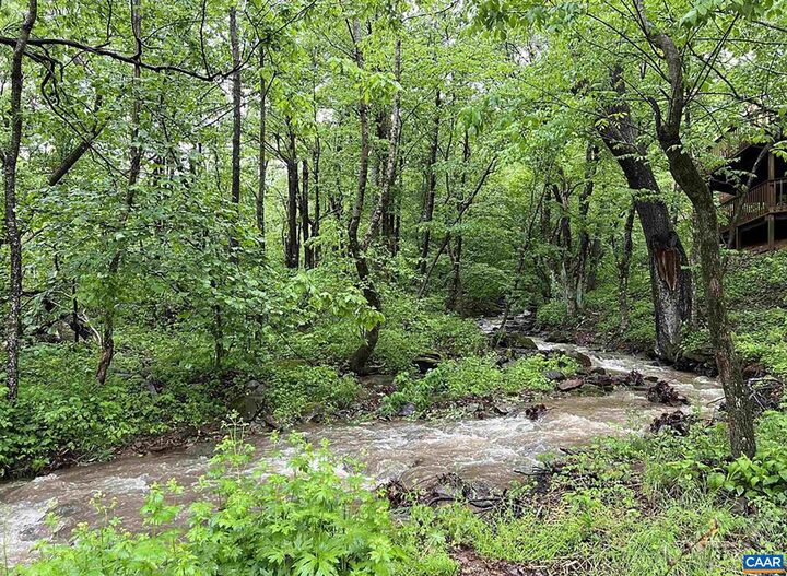 Property Photo:  426 Laurel Springs Dr  VA 22967 