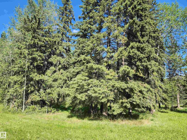 Property Photo:  463055 Rge Road 64  AB T0C 0T0 