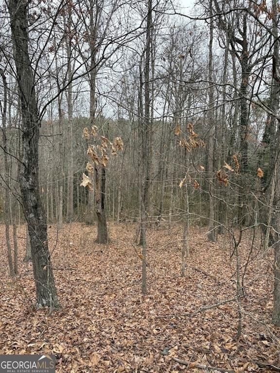Property Photo: 0 Polk Avenue GA 30132
