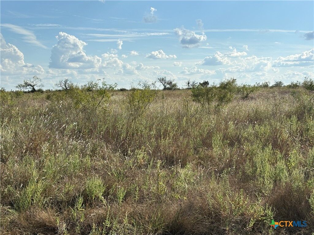Property Photo: Lot 32 Homestead Dr. TX 76550