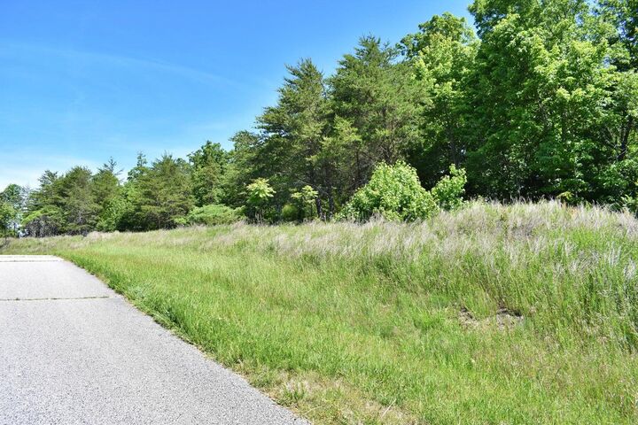 Property Photo: 0 Flint Ridge Road TN 37854