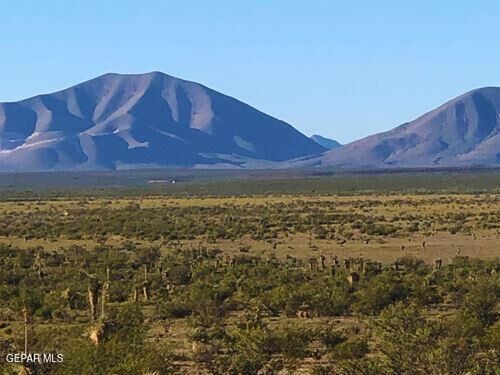 Property Photo: Pn55369 Tbd22 Sec 2 Sec Psl R#2 Lot 14 TX 79851