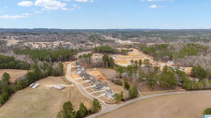 Property Photo: 7903 Brae Village Drive 39 AL 35116