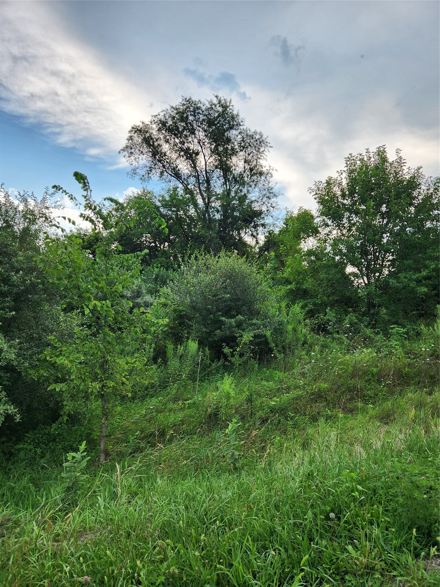 Property Photo:  Tbd High View Drive  IA 50138 