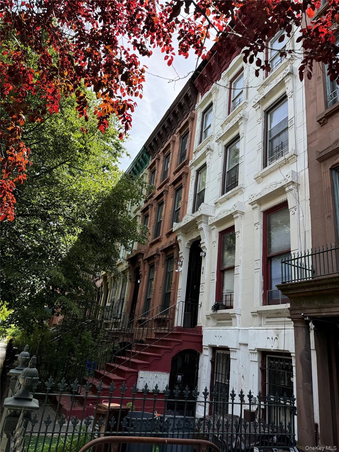 Property Photo:  64 Hancock Street  NY 11216 