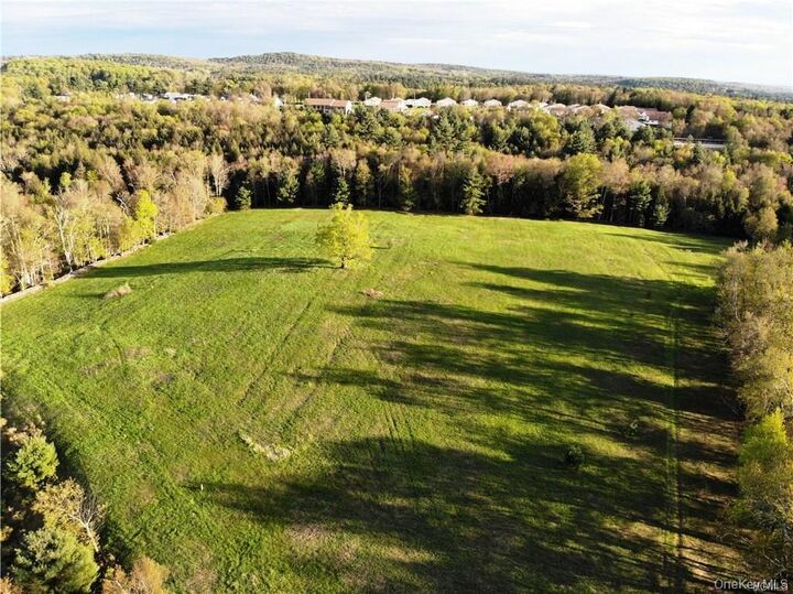 Property Photo:  00 Benmosche Road  NY 12701 