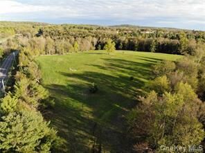 Property Photo:  00 Benmosche Road  NY 12701 