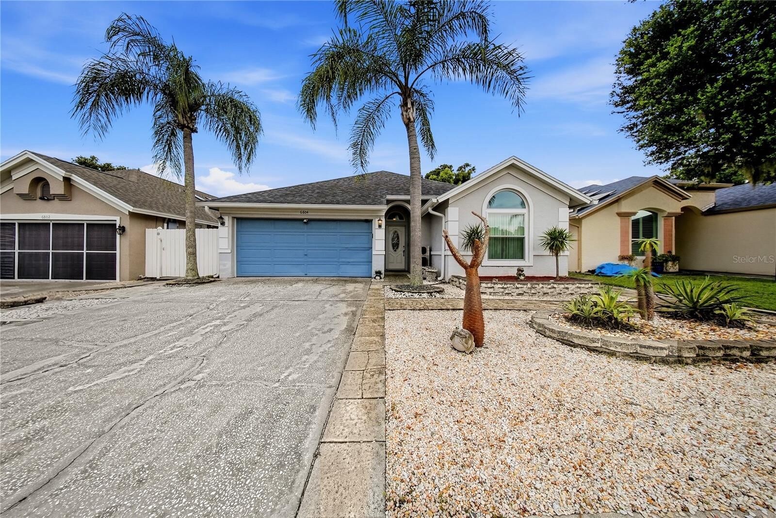 Property Photo:  6804 Mirror Lake Avenue  FL 33634 