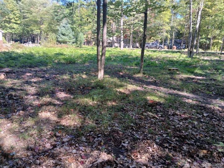 Property Photo:  0 Goldenrod Dr  MI 48629 