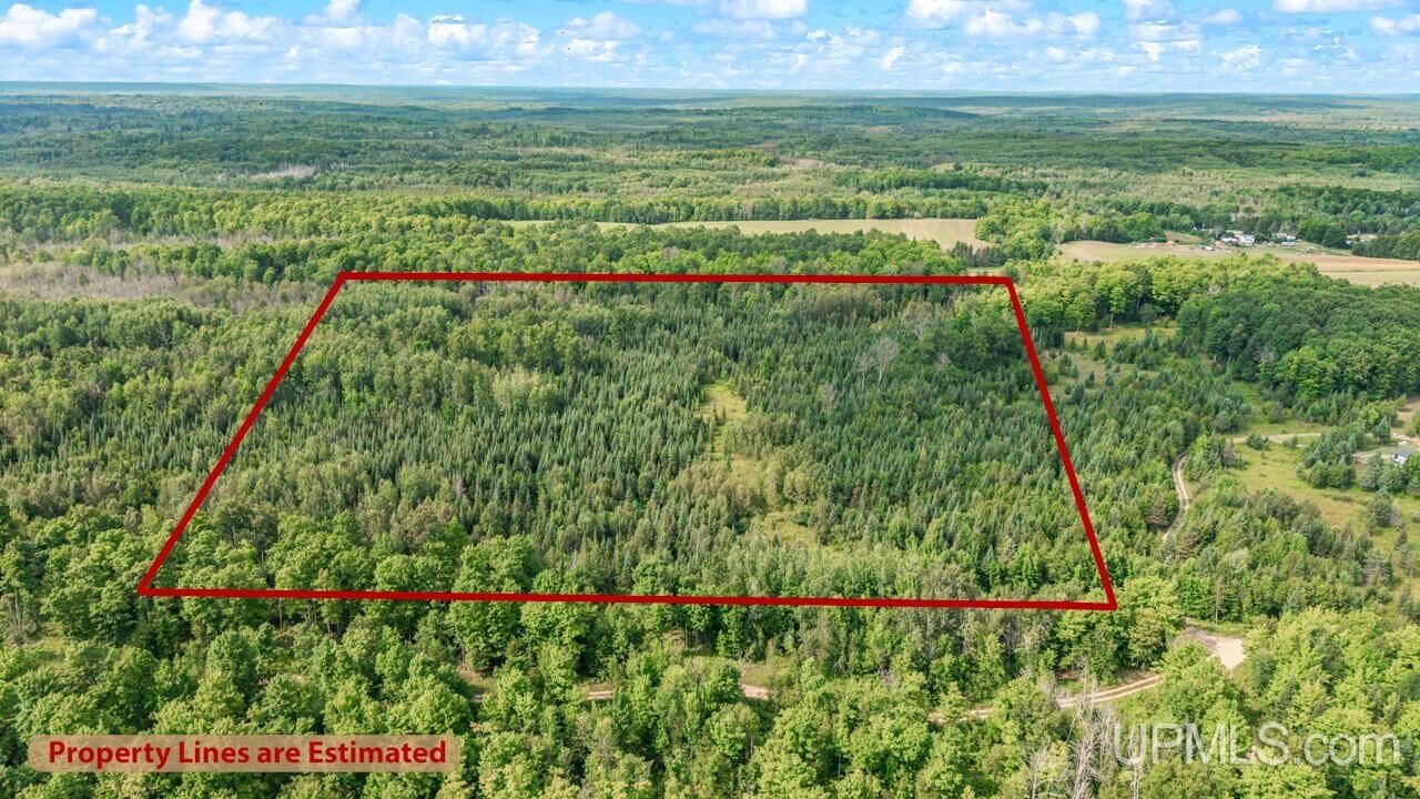Property Photo: Tbd Bartels Road MI 49834