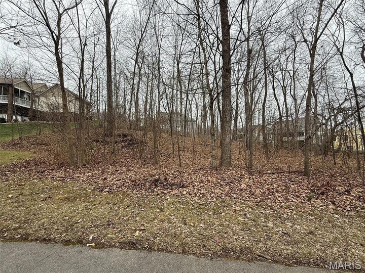 Property Photo:  2304 Brister Hill Drive  MO 63701 